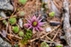 lacsalanfe_170603_-(10)