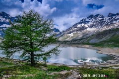 lacsalanfe_170603_-(100)