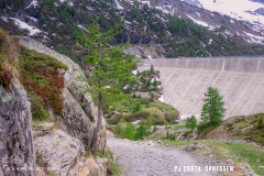 lacsalanfe_170603_-(101)