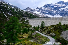 lacsalanfe_170603_-(102)
