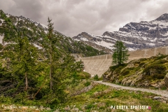 lacsalanfe_170603_-(104)