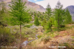 lacsalanfe_170603_-(106)