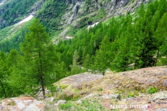 lacsalanfe_170603_-(11)