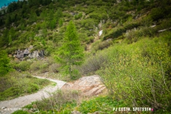 lacsalanfe_170603_-(110)