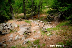 lacsalanfe_170603_-(111)