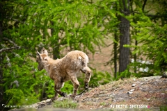 lacsalanfe_170603_-(113)