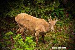 lacsalanfe_170603_-(114)