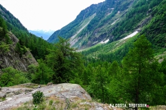 lacsalanfe_170603_-(12)
