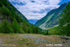 lacsalanfe_170603_-(13)