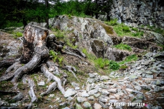 lacsalanfe_170603_-(21)