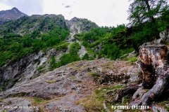 lacsalanfe_170603_-(22)