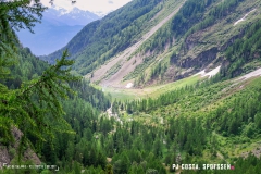 lacsalanfe_170603_-(23)