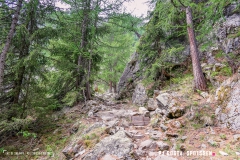 lacsalanfe_170603_-(24)