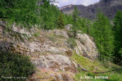 lacsalanfe_170603_-(25)