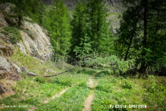 lacsalanfe_170603_-(26)