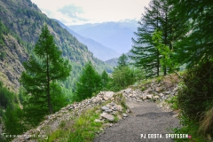 lacsalanfe_170603_-(28)