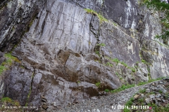 lacsalanfe_170603_-(29)