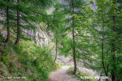 lacsalanfe_170603_-(30)