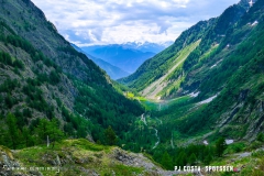 lacsalanfe_170603_-(31)