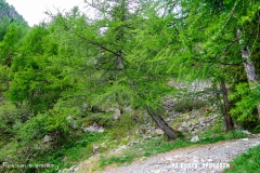 lacsalanfe_170603_-(32)