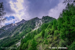 lacsalanfe_170603_-(34)