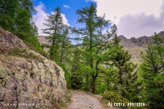 lacsalanfe_170603_-(35)