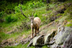 lacsalanfe_170603_-(38)