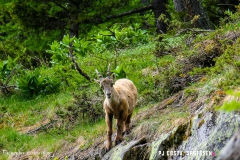 lacsalanfe_170603_-(39)