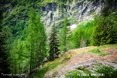 lacsalanfe_170603_-(4)