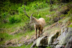 lacsalanfe_170603_-(40)