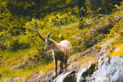 lacsalanfe_170603_-(41)