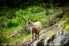 lacsalanfe_170603_-(42)