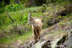 lacsalanfe_170603_-(44)