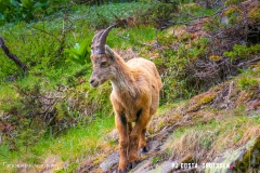 lacsalanfe_170603_-(45)