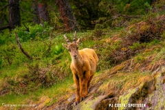 lacsalanfe_170603_-(46)