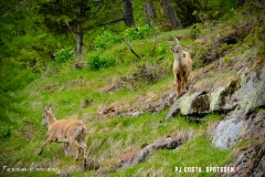 lacsalanfe_170603_-(48)