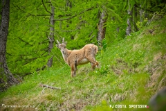 lacsalanfe_170603_-(49)