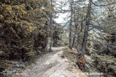 lacsalanfe_170603_-(5)