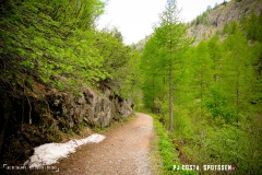 lacsalanfe_170603_-(50)