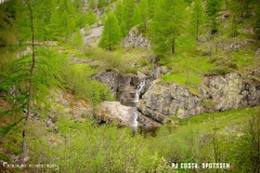 lacsalanfe_170603_-(51)