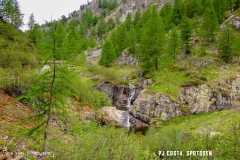 lacsalanfe_170603_-(52)