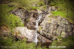 lacsalanfe_170603_-(53)