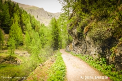 lacsalanfe_170603_-(54)