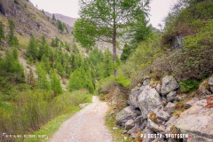lacsalanfe_170603_-(55)