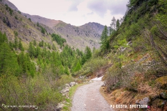 lacsalanfe_170603_-(56)