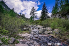 lacsalanfe_170603_-(57)