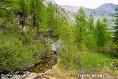 lacsalanfe_170603_-(58)