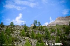 lacsalanfe_170603_-(62)