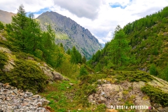 lacsalanfe_170603_-(70)