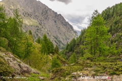 lacsalanfe_170603_-(71)